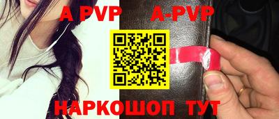 прущие крисы Кингисепп