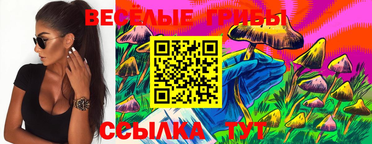 Галлюциногенные грибы мухоморы Коммунар