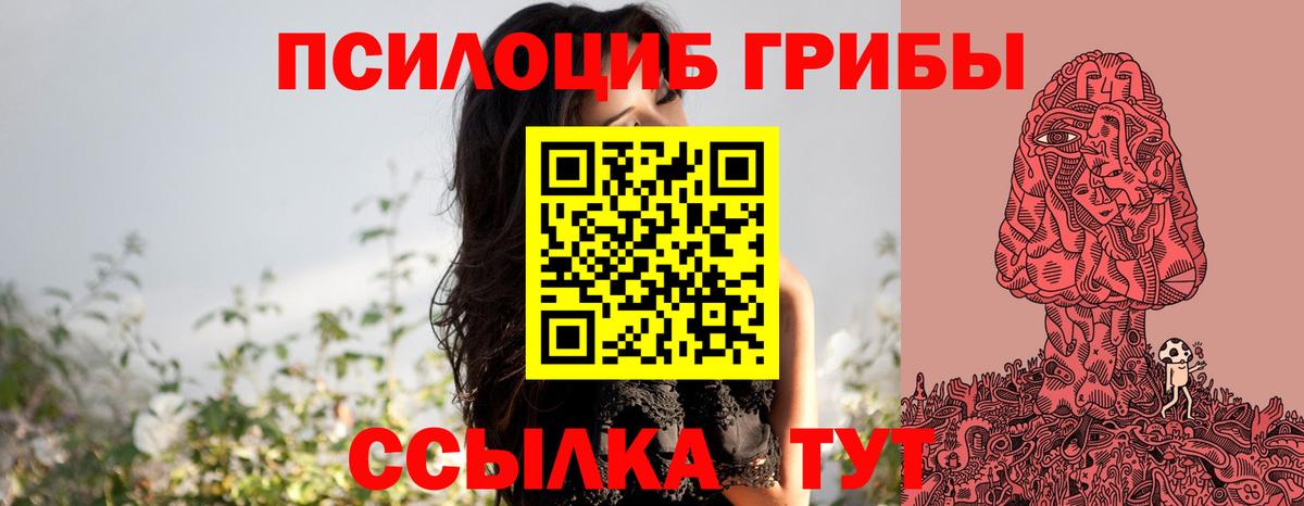 Галлюциногенные грибы Psilocybe  Вход с VPN  Коммунар  Псилоцибиновые грибы Psilocybe 